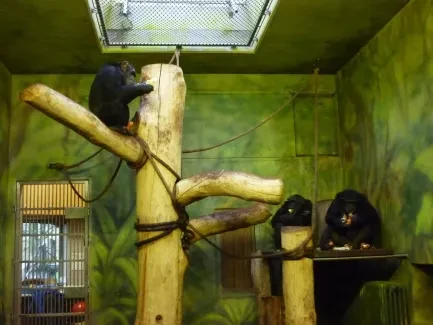 ZOO Dvůr Králové n. L.