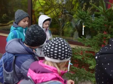 ZOO Dvůr Králové n. L.