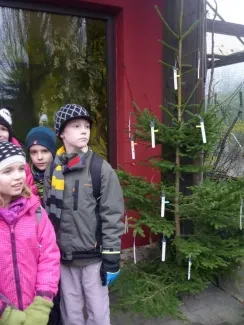 ZOO Dvůr Králové n. L.