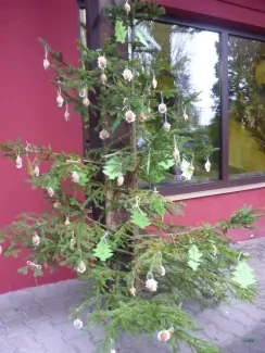 ZOO Dvůr Králové n. L.