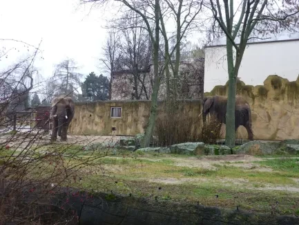 ZOO Dvůr Králové n. L.
