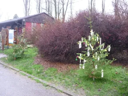 ZOO Dvůr Králové n. L.