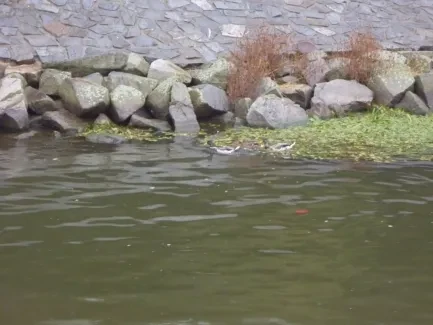 Den církevního školství_1. A, 2. A, 3. A