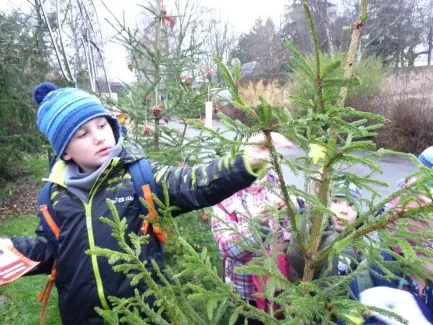 ZOO Dvůr Králové n. L.