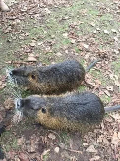 Školní družina 1_leden