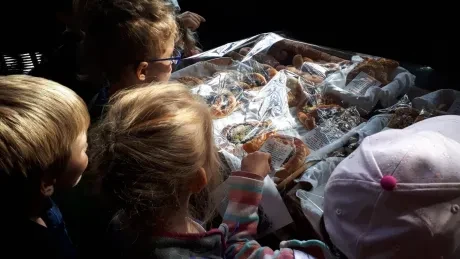 Den círk. šk._Botanicus_1. A, 2. A