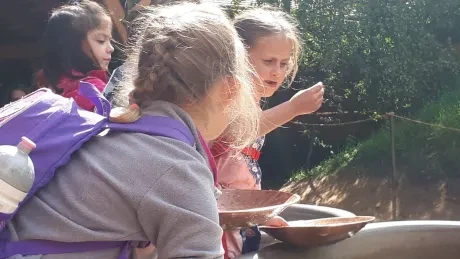 Den círk. šk._Botanicus_1. A, 2. A