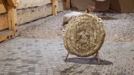 Den círk. šk._Botanicus_1. A, 2. A