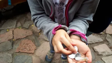 Den círk. šk._Botanicus_1. A, 2. A