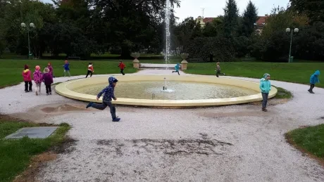 Hradecký zlatý strom_1. A