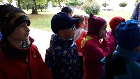 Hradecký zlatý strom_1. A