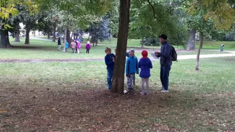 Hradecký zlatý strom_1. A