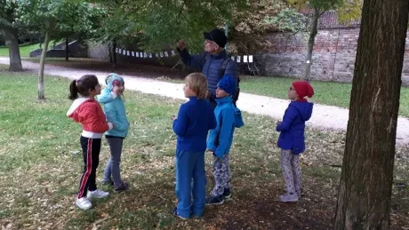 Hradecký zlatý strom_1. A