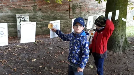 Hradecký zlatý strom_1. A