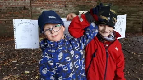 Hradecký zlatý strom_1. A