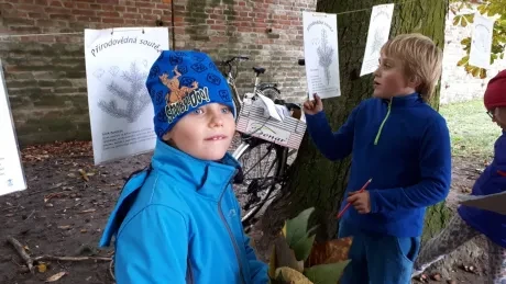 Hradecký zlatý strom_1. A