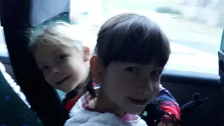 ZOO - zdobení stromečků