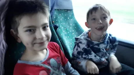 ZOO - zdobení stromečků