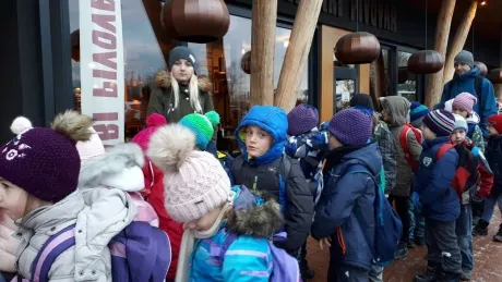 ZOO - zdobení stromečků