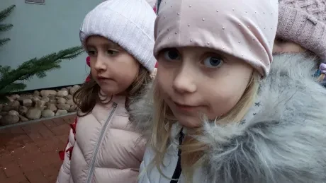 ZOO - zdobení stromečků