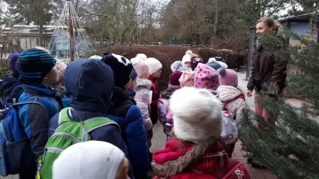 ZOO - zdobení stromečků