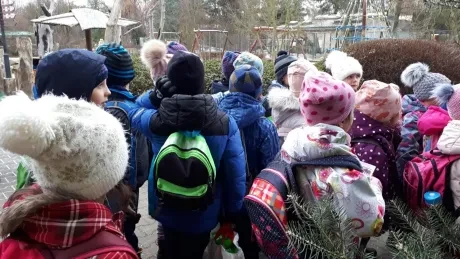 ZOO - zdobení stromečků