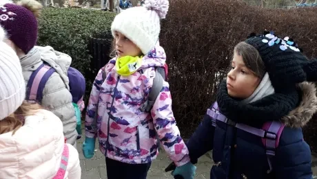 ZOO - zdobení stromečků