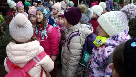 ZOO - zdobení stromečků