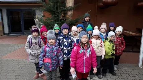 ZOO - zdobení stromečků