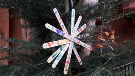 ZOO - zdobení stromečků