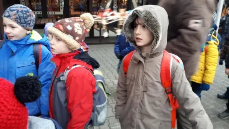 ZOO - zdobení stromečků