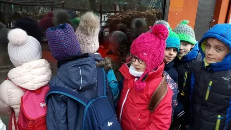 ZOO - zdobení stromečků