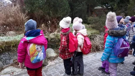 ZOO - zdobení stromečků