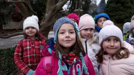 ZOO - zdobení stromečků