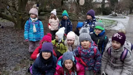 ZOO - zdobení stromečků