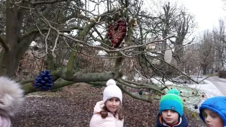 ZOO - zdobení stromečků