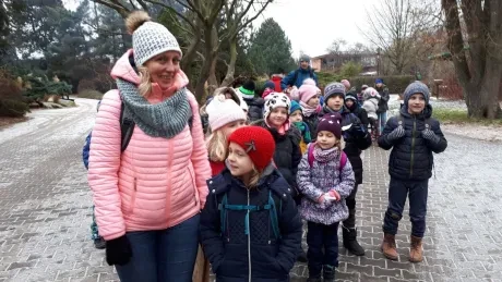 ZOO - zdobení stromečků