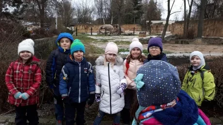 ZOO - zdobení stromečků