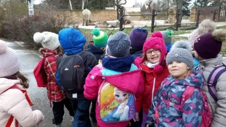 ZOO - zdobení stromečků