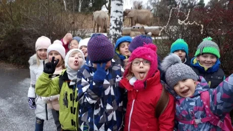 ZOO - zdobení stromečků