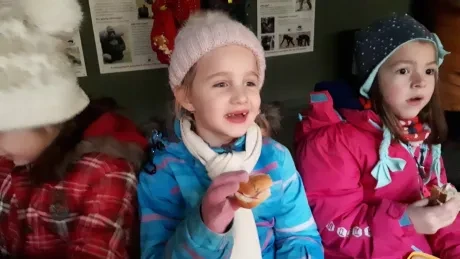 ZOO - zdobení stromečků