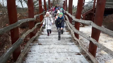 ZOO - zdobení stromečků