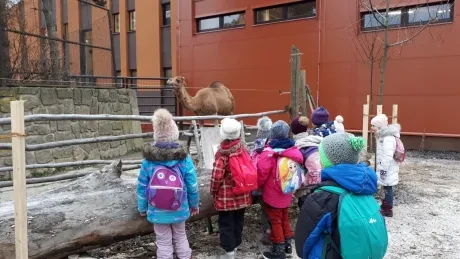 ZOO - zdobení stromečků