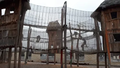 ZOO - zdobení stromečků