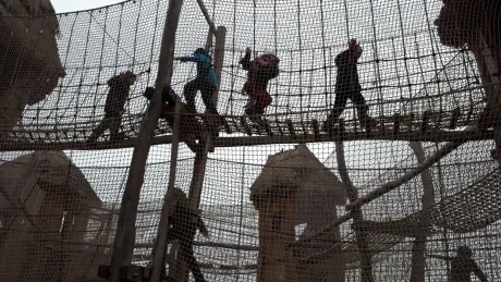 ZOO - zdobení stromečků