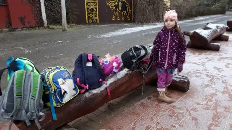 ZOO - zdobení stromečků