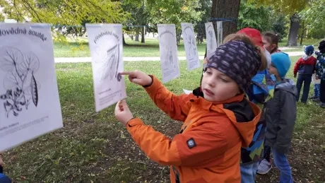 Zlatý strom_1. A, 2. A_díl 1