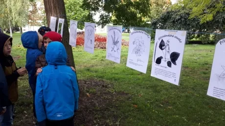 Zlatý strom_1. A, 2. A_díl 1