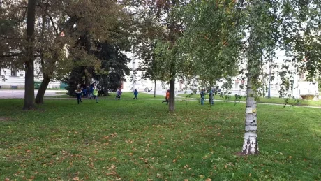 Zlatý strom_1. A, 2. A_díl 1