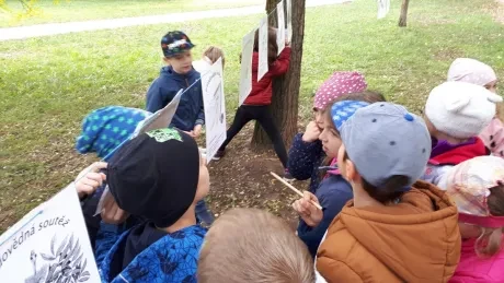 Zlatý strom_1. A, 2. A_díl 1